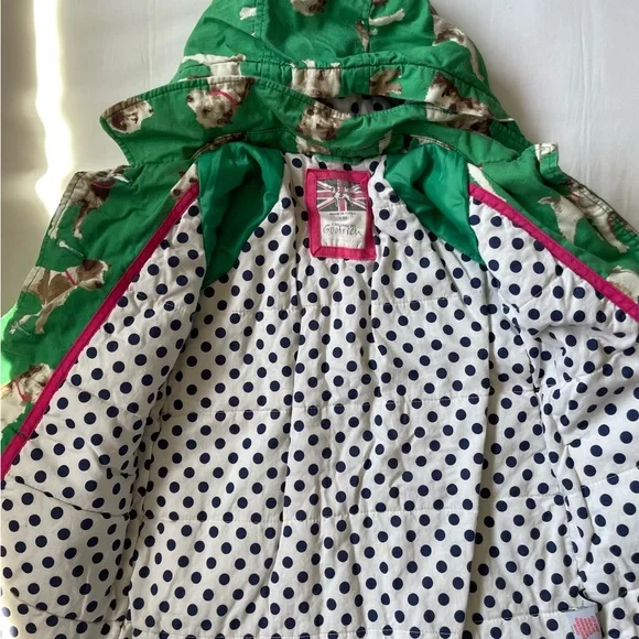 Mini Biden Jack Russel Terrier Dog Jacket - Picture 3 of 4